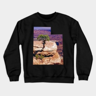 Utah State Outline - Canyonlands National Park Crewneck Sweatshirt